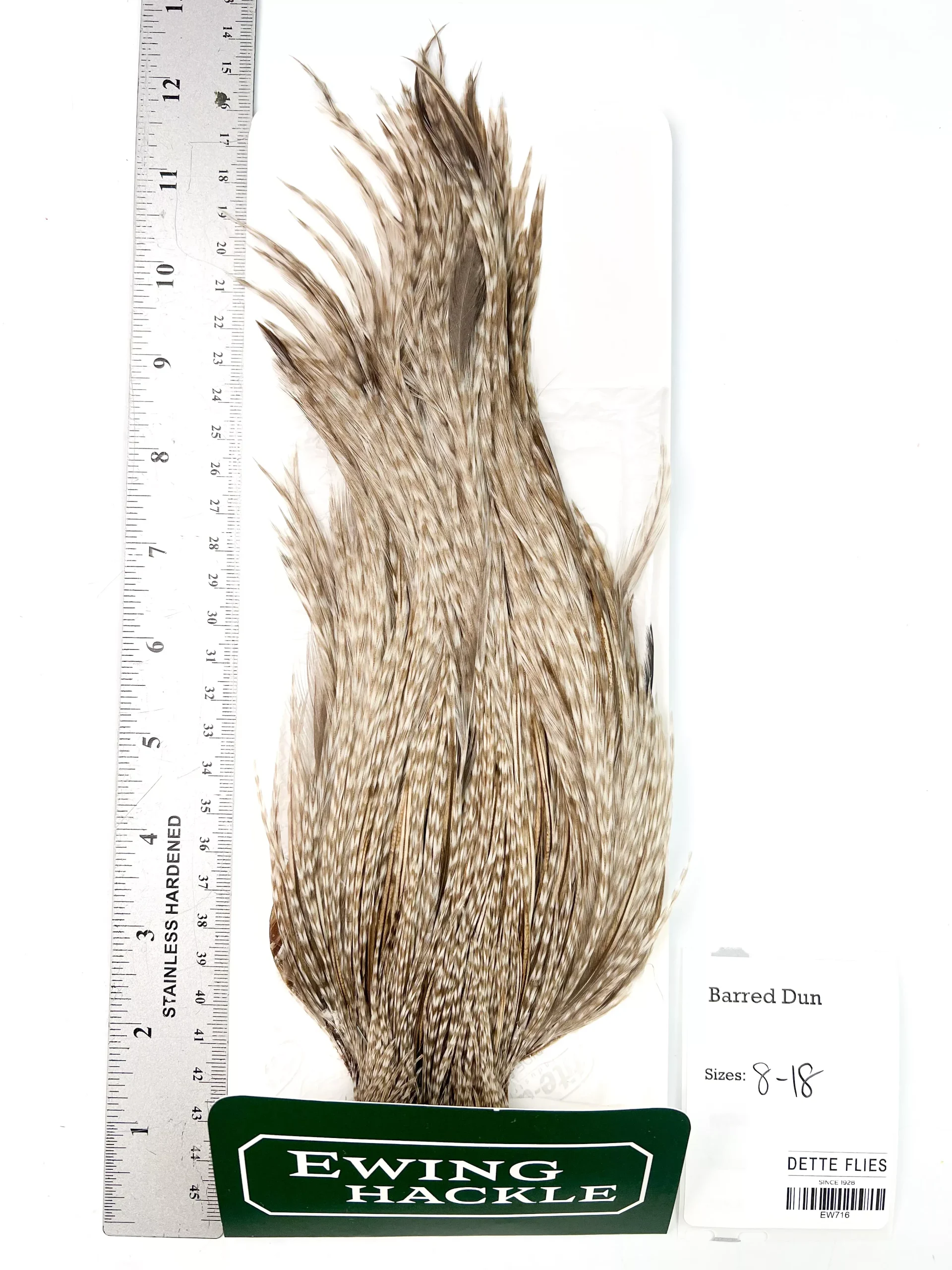 Barred Dun - Ewing Dry Fly Rooster Cape (716)