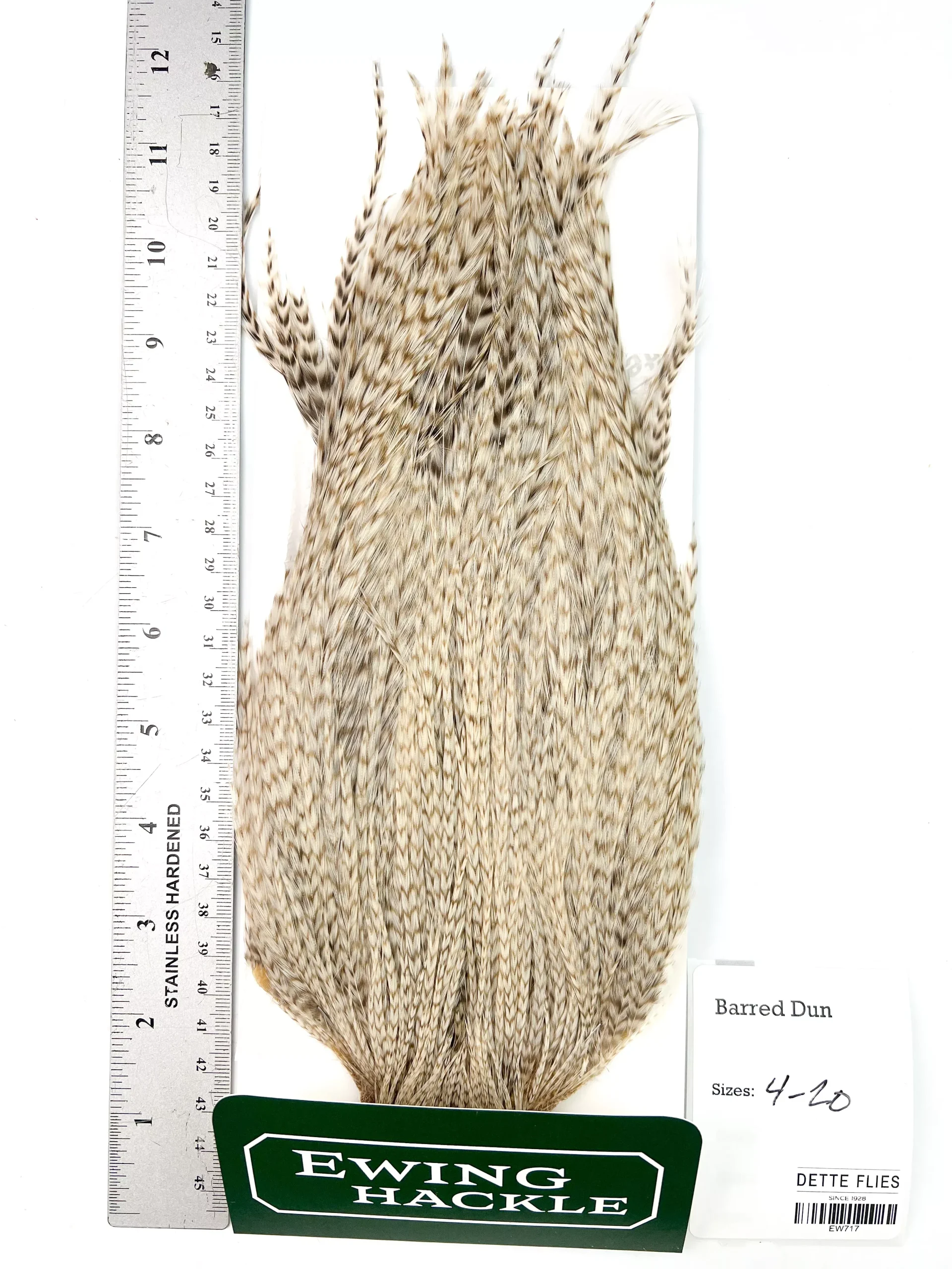 Barred Dun - Ewing Dry Fly Rooster Cape (717)
