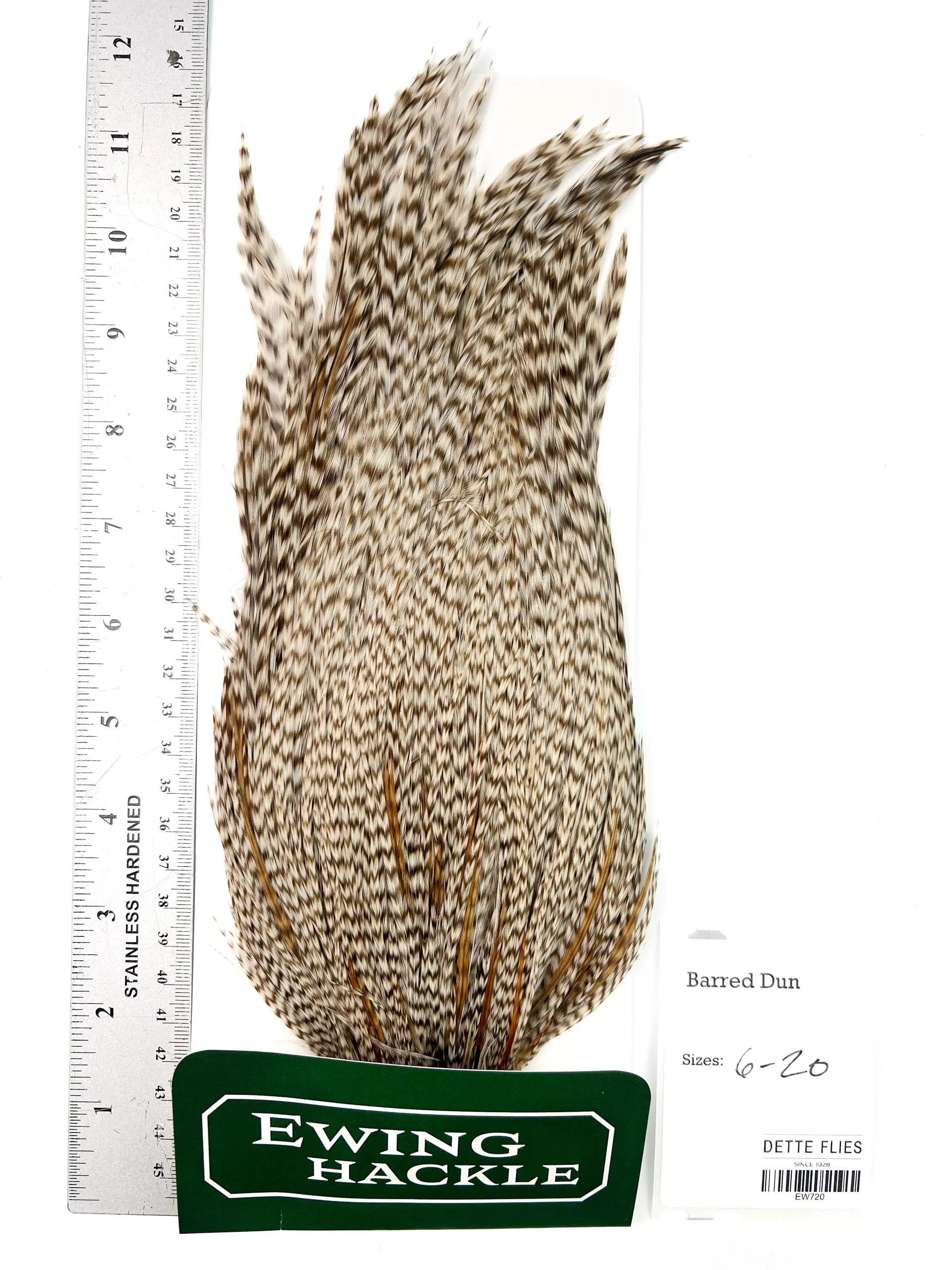 Barred Dun - Ewing Dry Fly Rooster Cape (720)