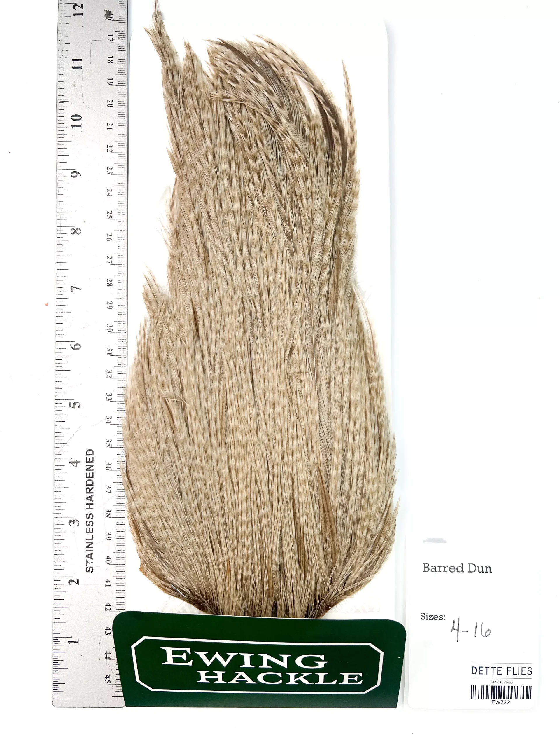 Barred Dun - Ewing Dry Fly Rooster Cape (722)