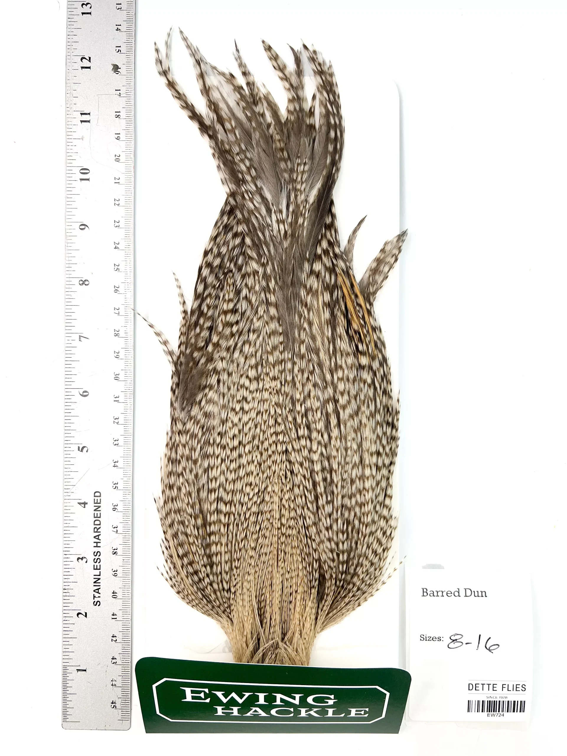 Barred Dun - Ewing Dry Fly Rooster Cape (724)