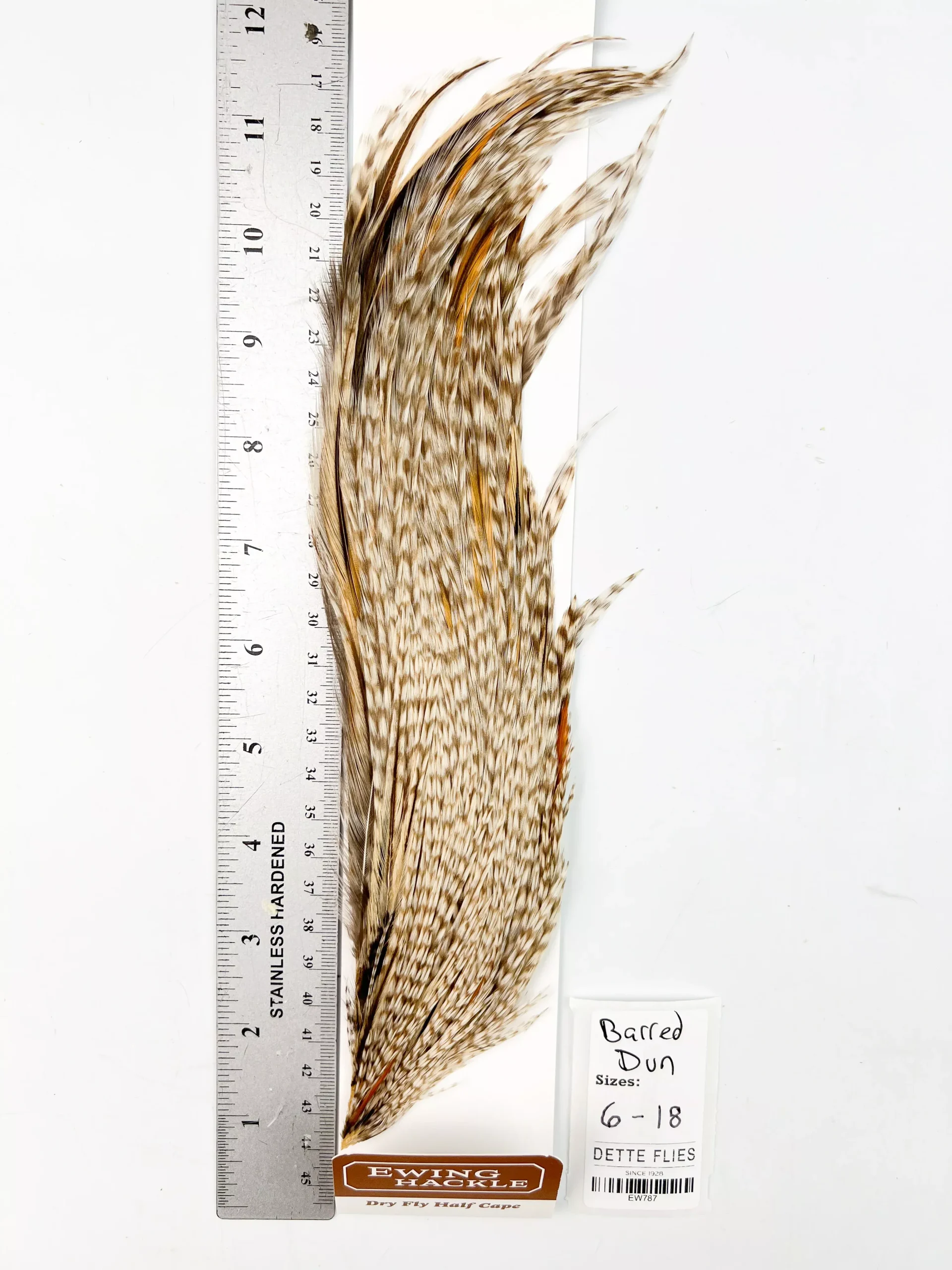 Barred Dun - Ewing Dry Fly Rooster Half Cape (787)