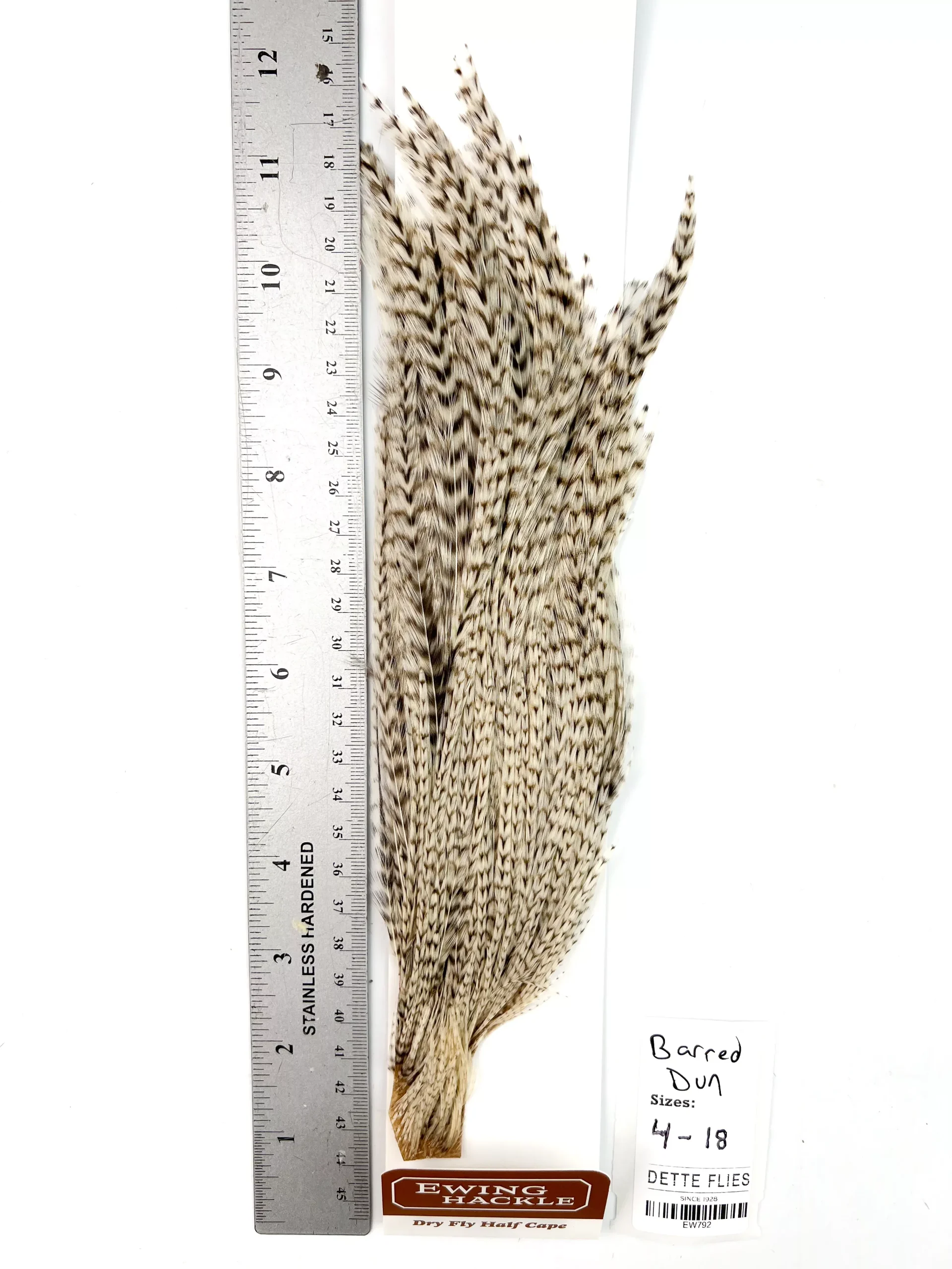 Barred Dun - Ewing Dry Fly Rooster Half Cape (792)