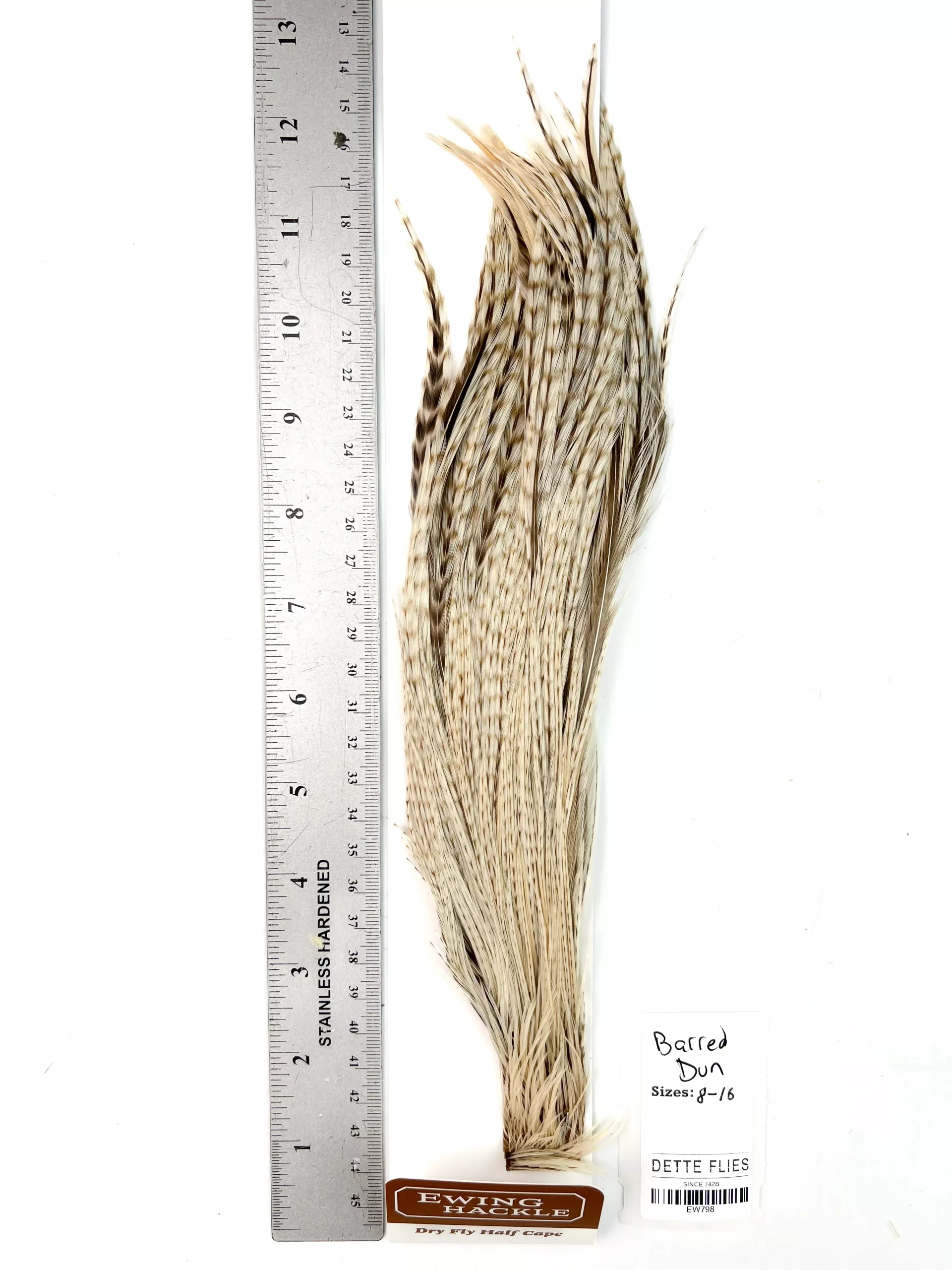 Barred Dun - Ewing Dry Fly Rooster Half Cape (798)