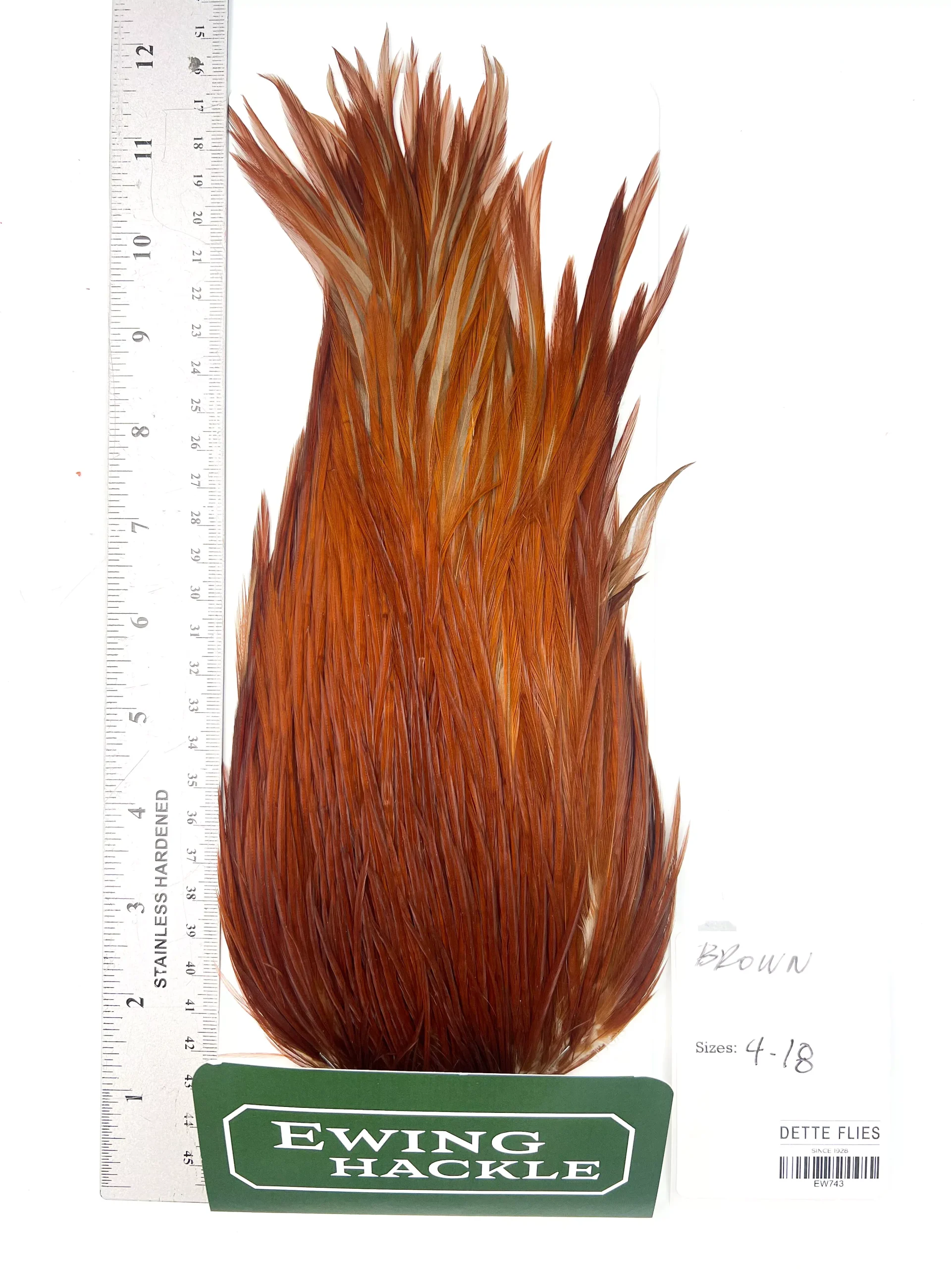 Brown - Ewing Dry Fly Rooster Cape (743)