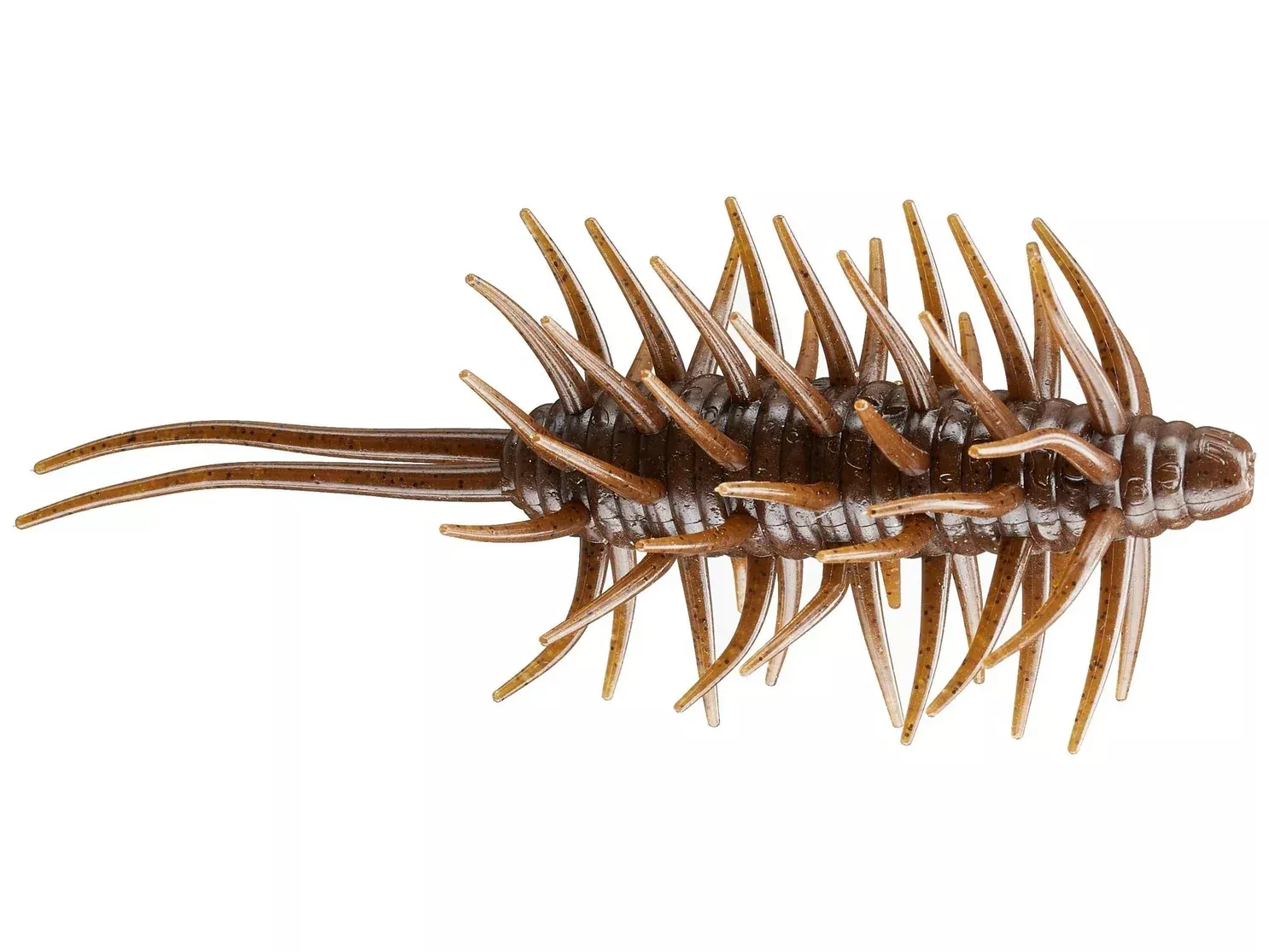 Coike Shrimp Magnum