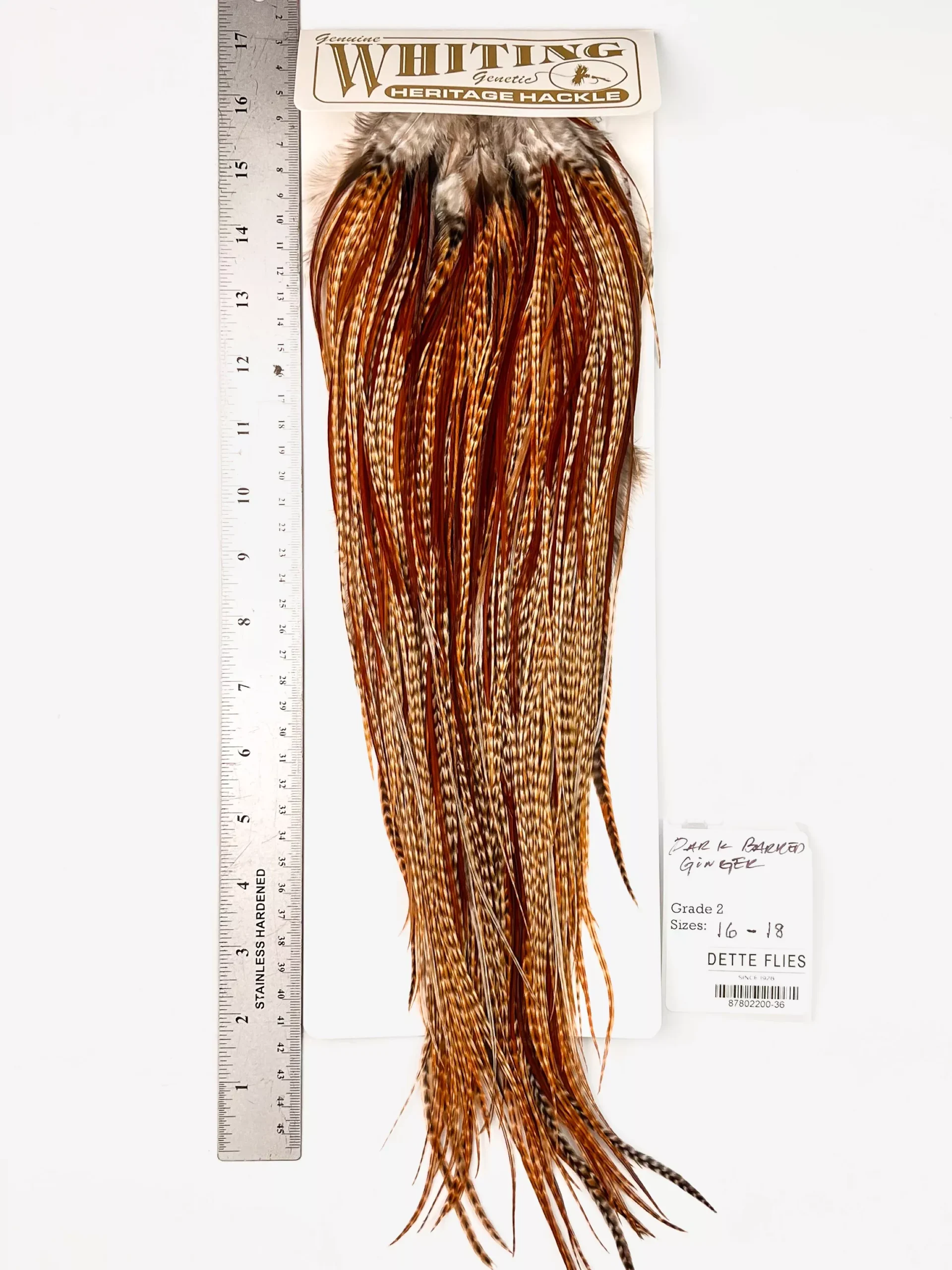 Dark Barred Ginger - Whiting Heritage Hackle Rooster Saddle - Grade 2 (#36)