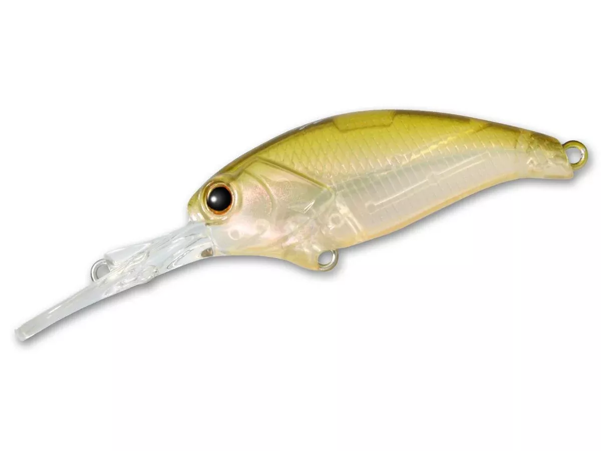 Evoke Shad