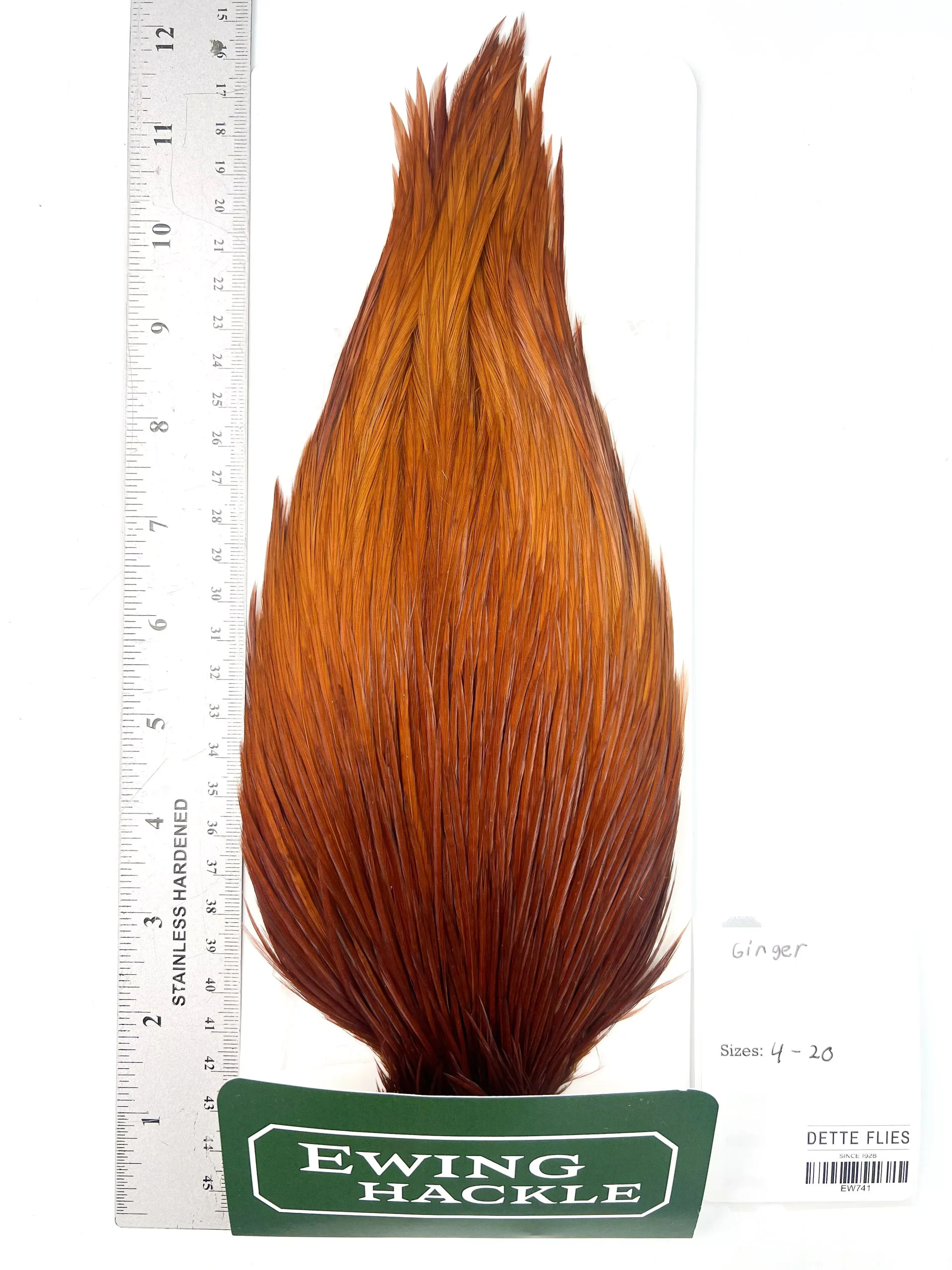 Ginger - Ewing Dry Fly Rooster Cape (741)