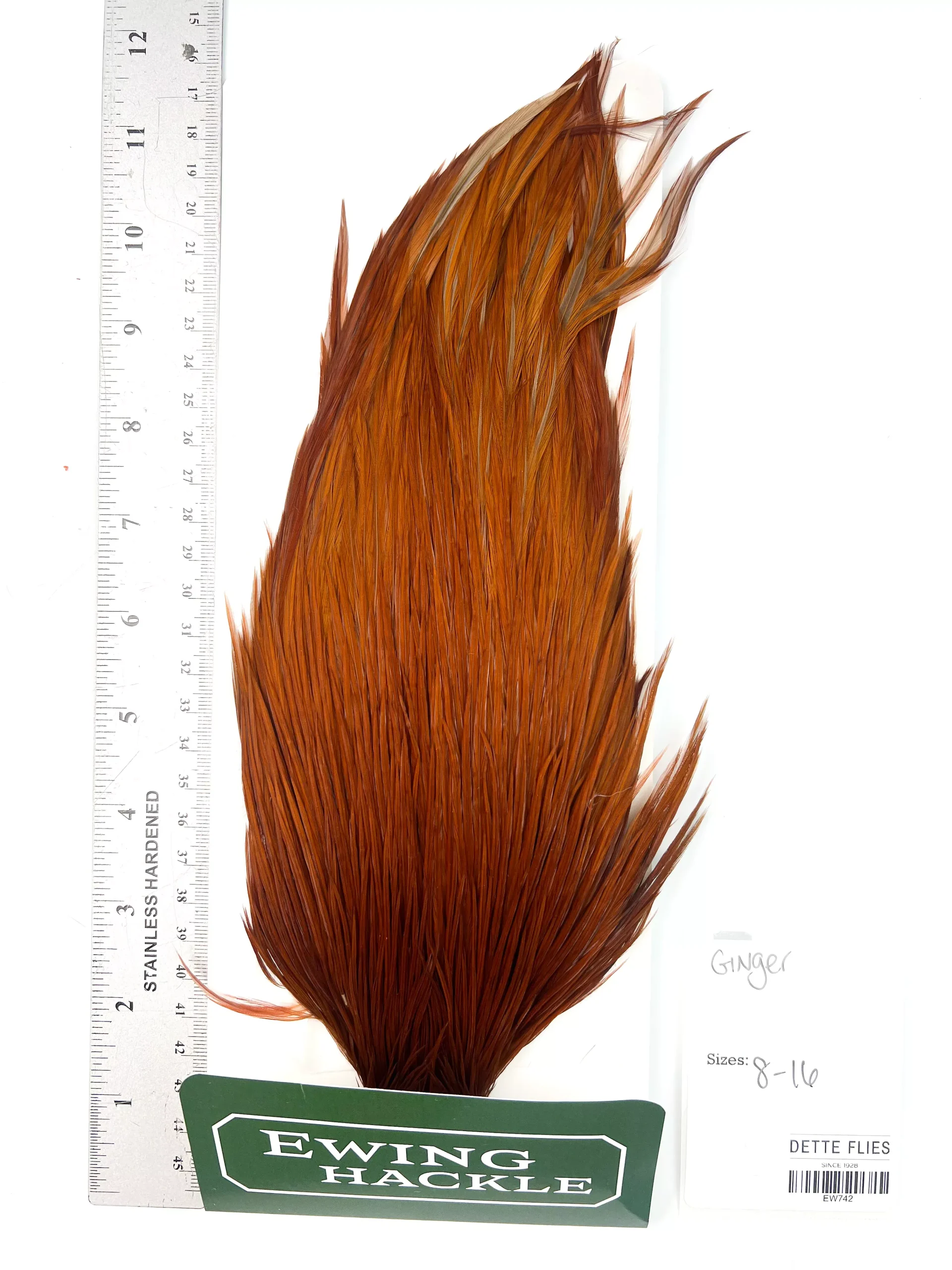 Ginger - Ewing Dry Fly Rooster Cape (742)