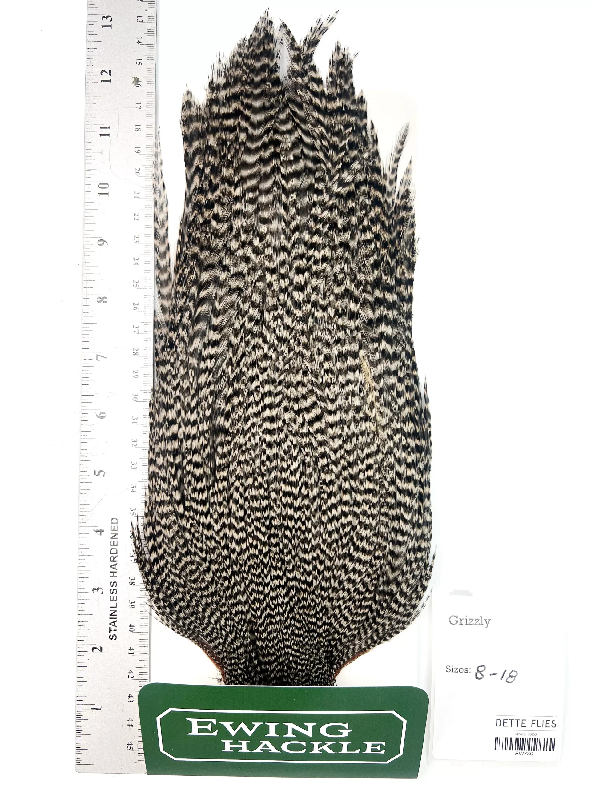 Grizzly - Ewing Dry Fly Rooster Cape (730)