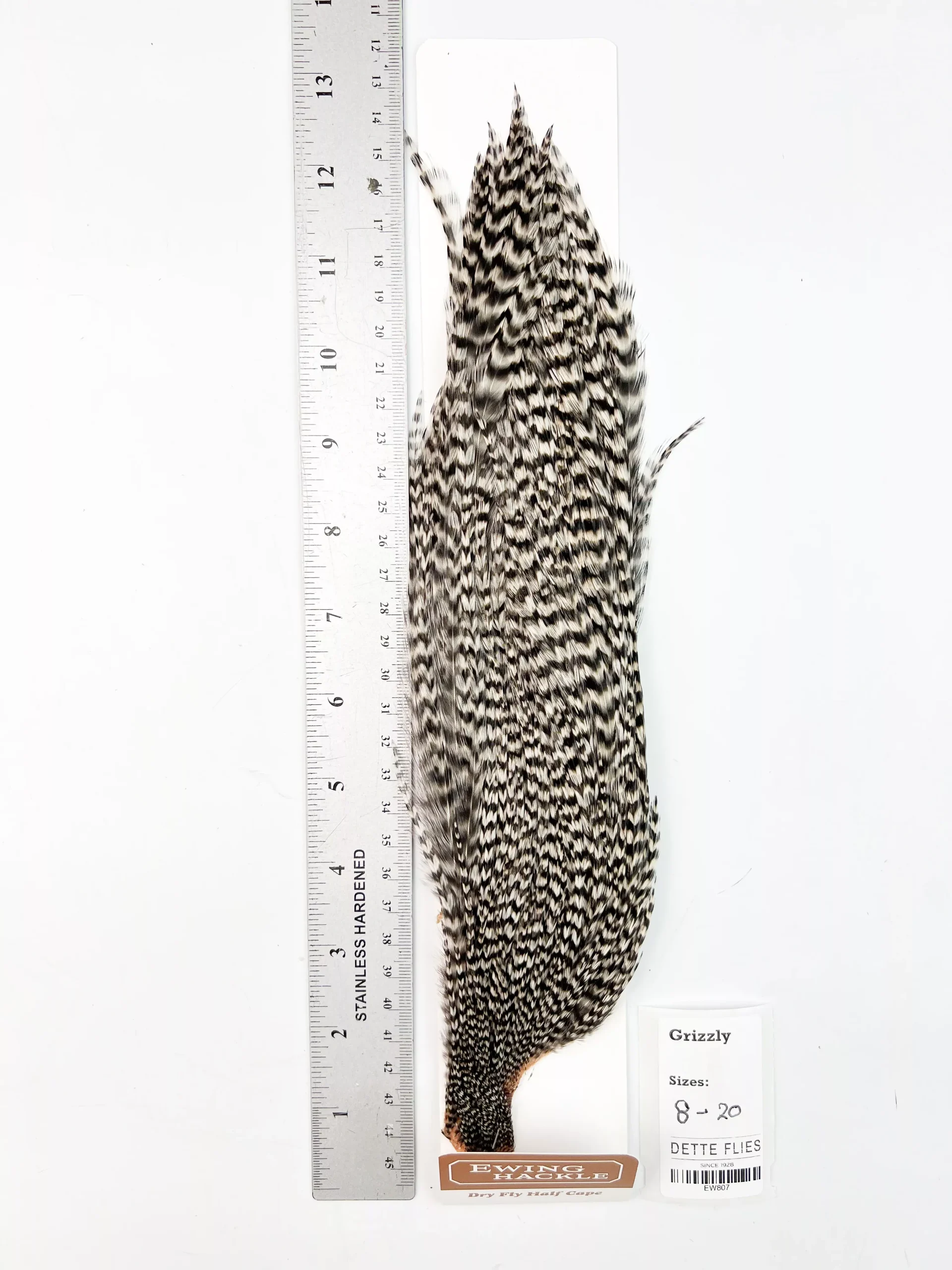 Grizzly - Ewing Dry Fly Rooster Half Cape (807)