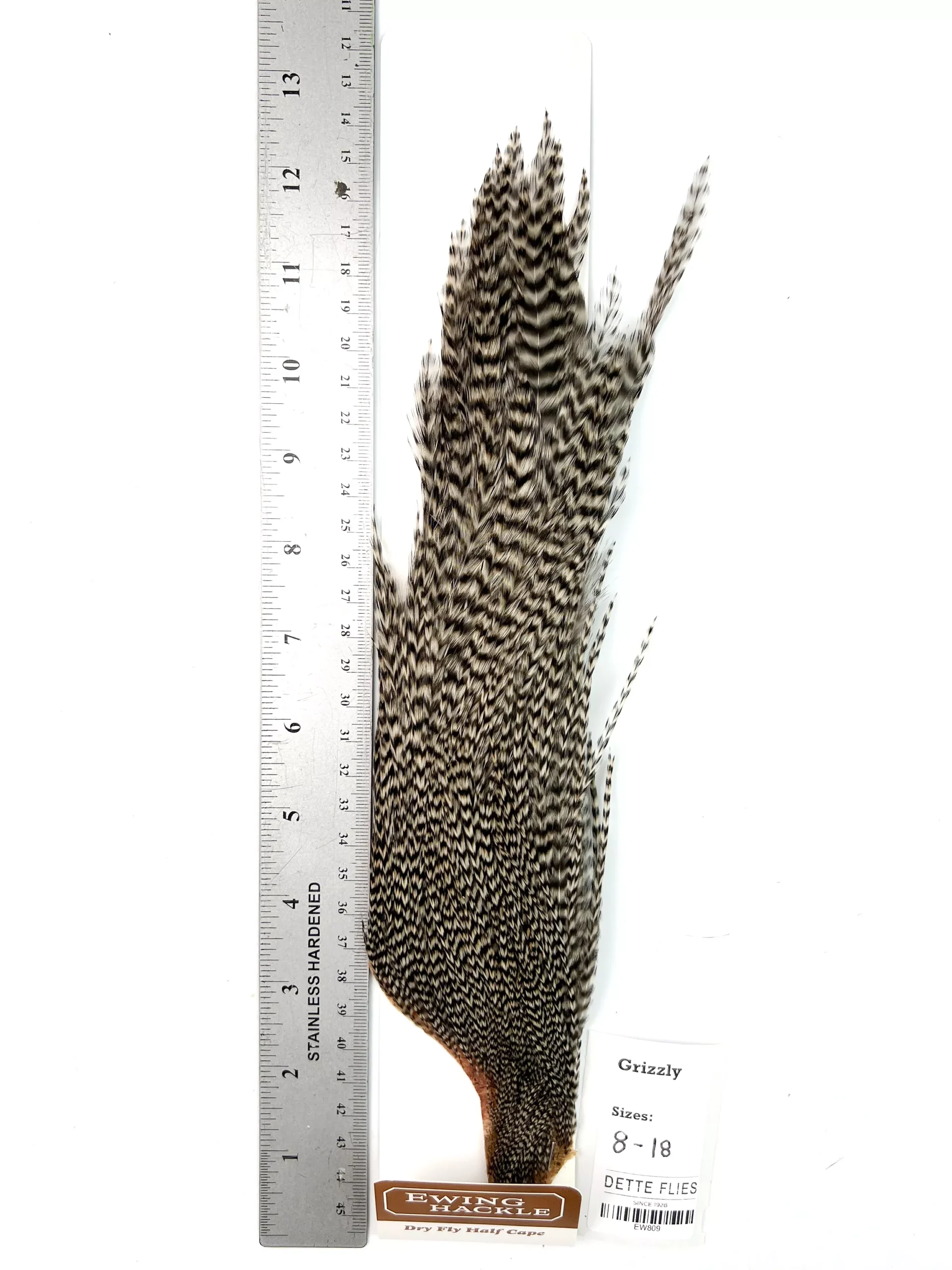 Grizzly - Ewing Dry Fly Rooster Half Cape (809)