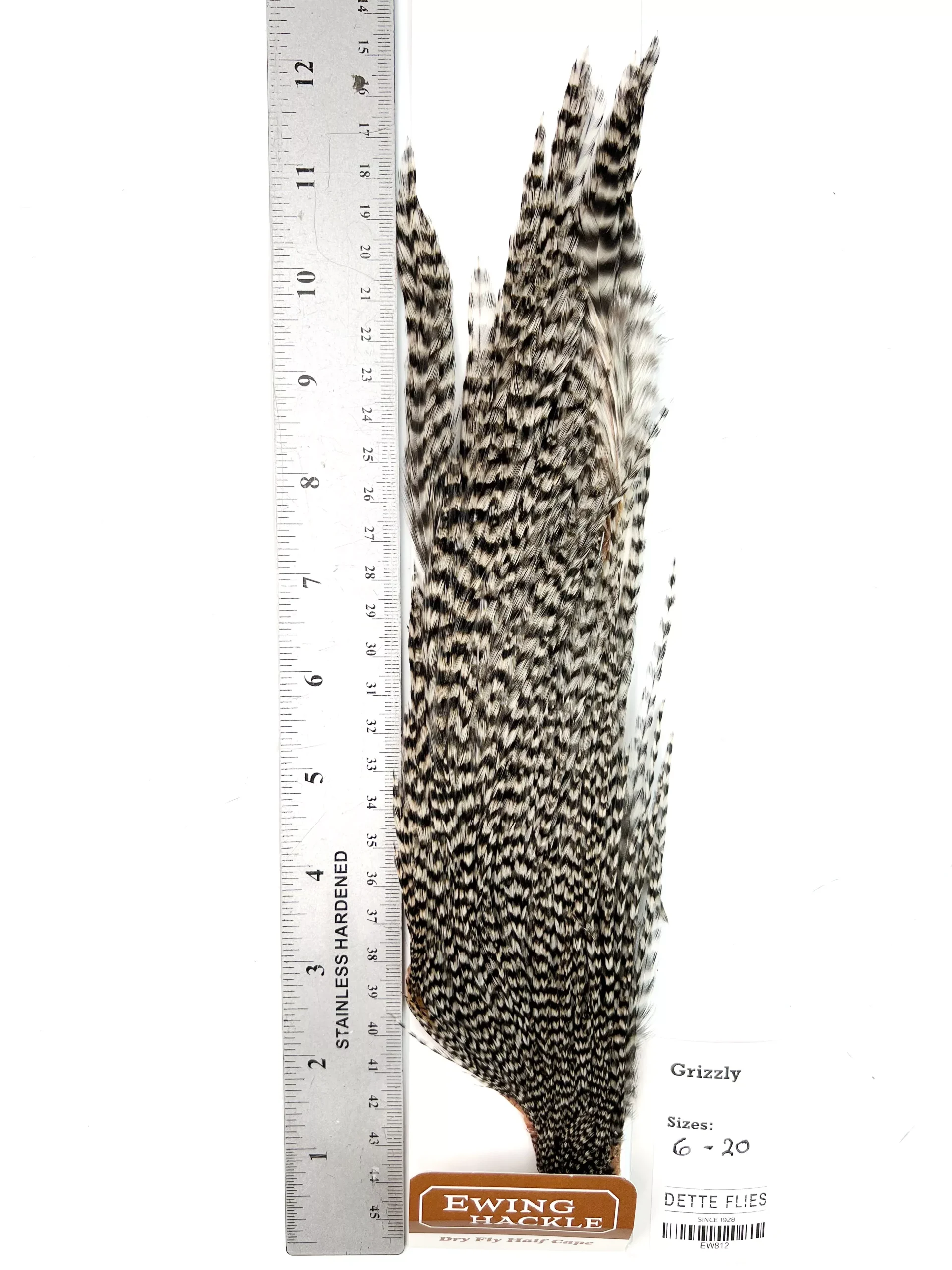 Grizzly - Ewing Dry Fly Rooster Half Cape (812)