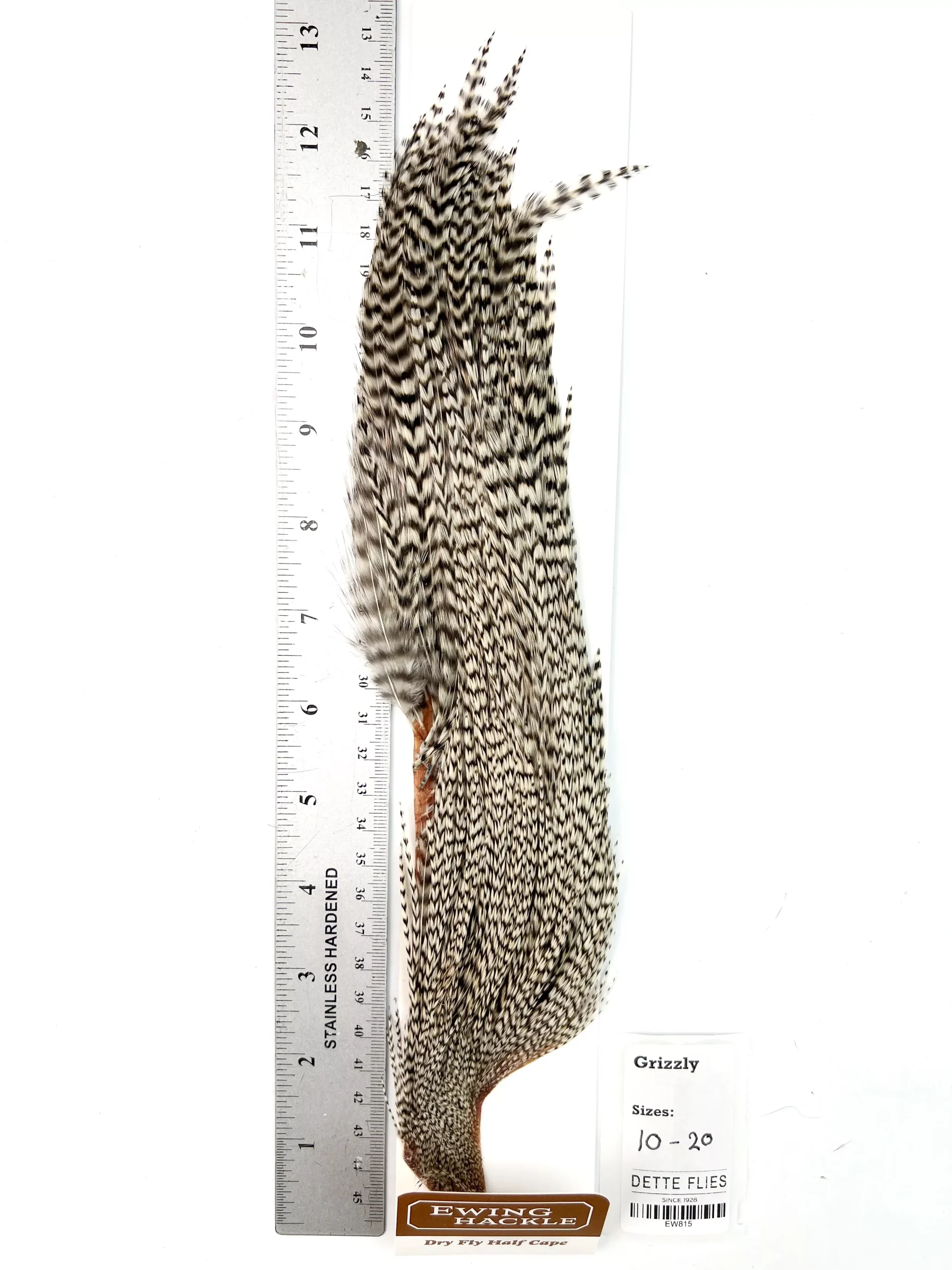 Grizzly - Ewing Dry Fly Rooster Half Cape (815)