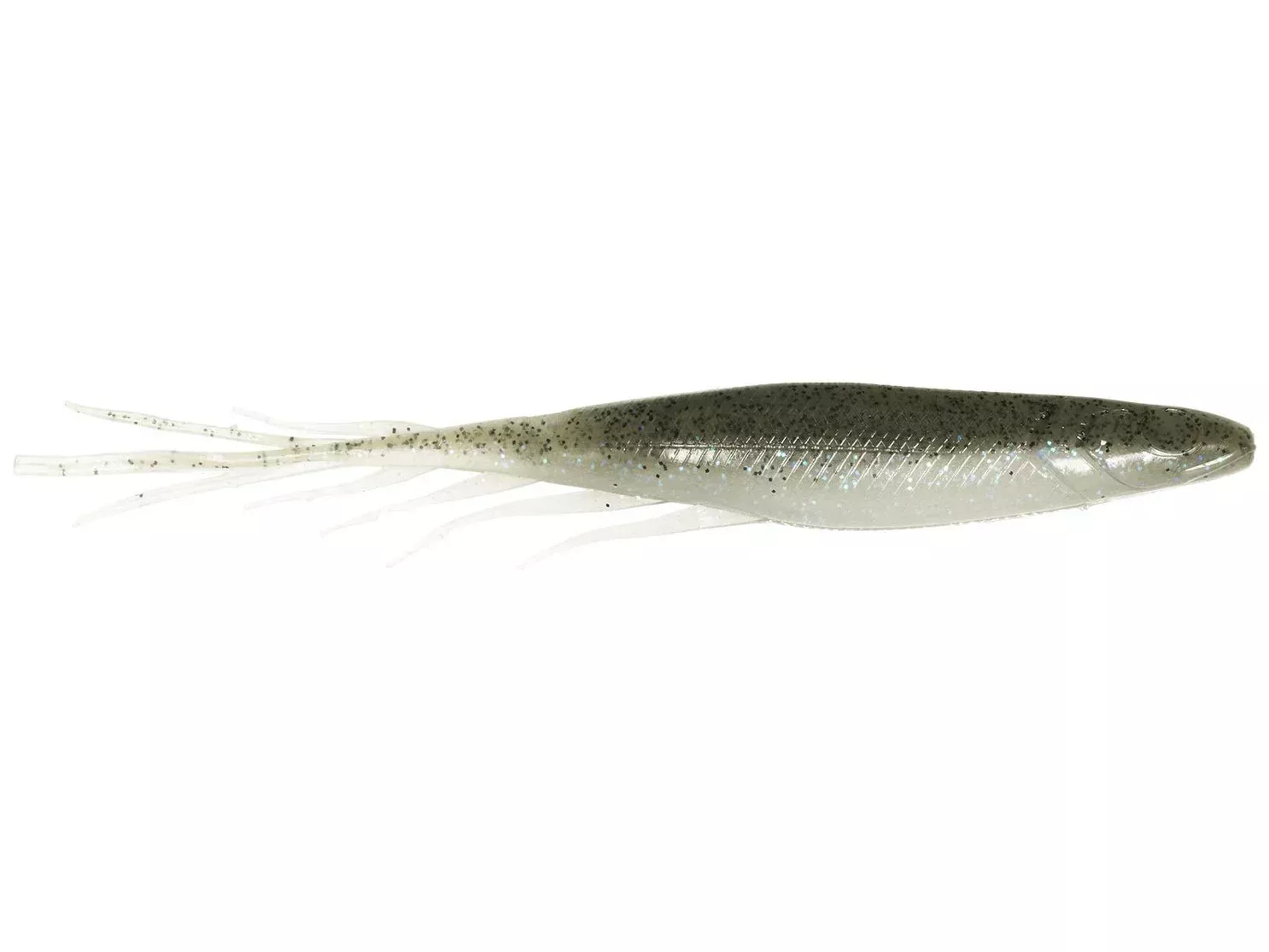 Judy Fish
