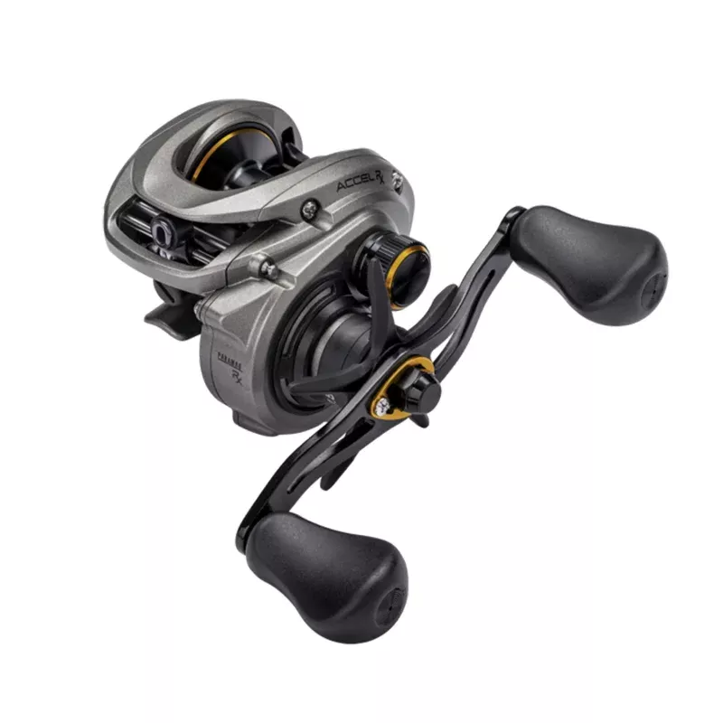 Lew's Accel RX Casting Reel 7.5:1 LH | ACRX1SHL