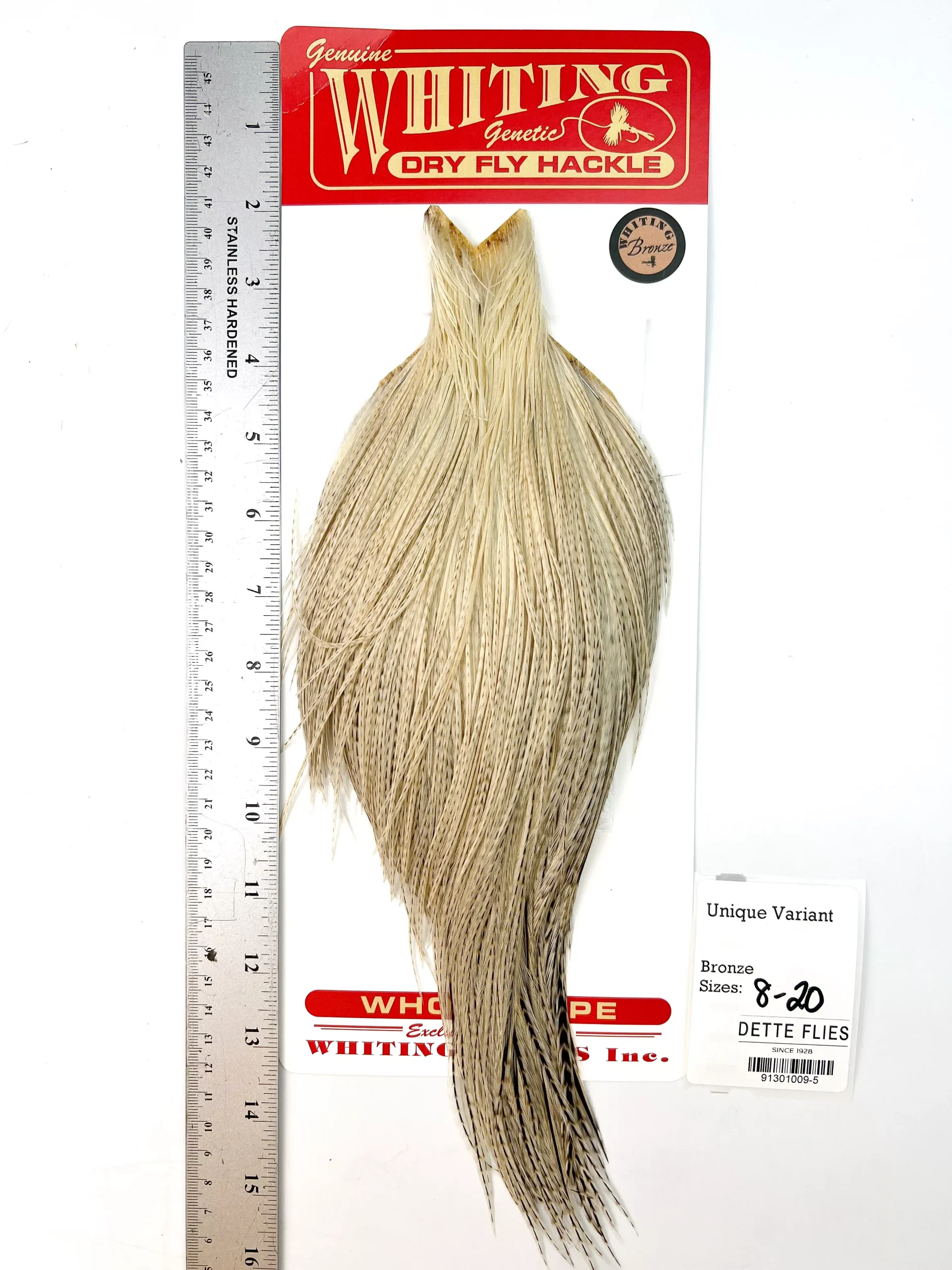 Unique Variant - Whiting Line Rooster Cape - Bronze Grade (#5)
